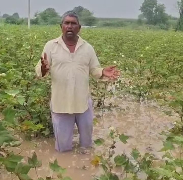 Marathwada Deluge Wrecks Harvest
