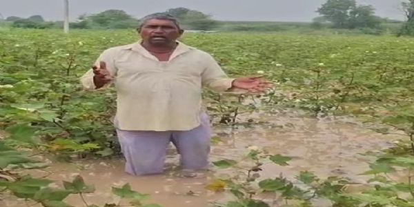 مراٹھواڑہ کی بارش سے کھڑی فصلیں تباہ، کسانوں میں شدید مایوسی