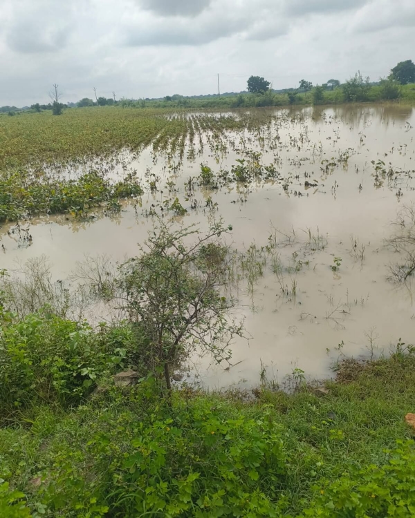MARATHWADA FLOOD AND CROPS LOSS