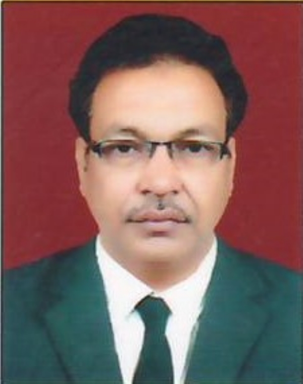 پروفیسر محمد انور