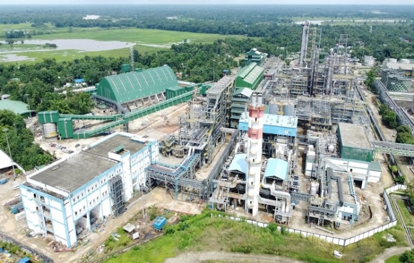 World Bamboo Day: 1st bamboo bio-ethanol plant unveiled in Assam