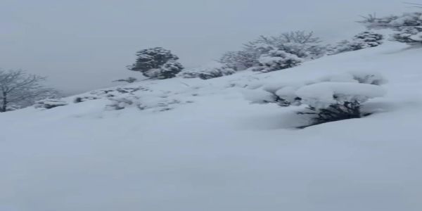 شوپیاں اور سونمرگ میں برفباری شروع,ان علاقوں میں سردی میں اضافہ ہوا ۔