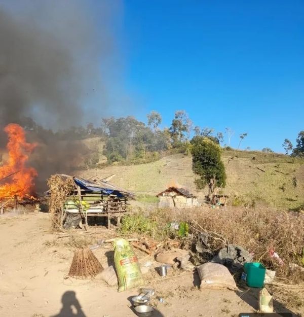 منی پور میں افیم کی کاشت تباہ، جنگجو اور بھتہ خور گرفتار