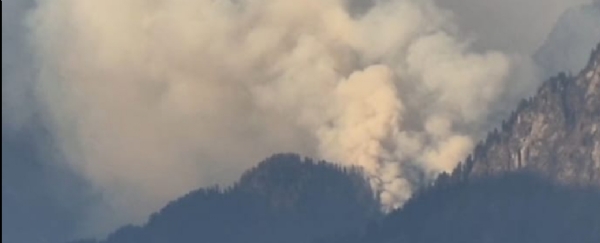 پھولوں کی وادی کی بلند چوٹیوں پر چار دن سے آگ کا قہر ، فوج کی مدد کے لیے حکومت کو لکھا گیا خط