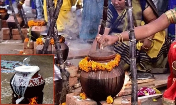 TN-Pongal-festvial-celebaration