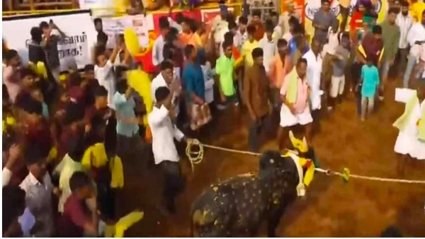 تمل ناڈو کے پلامیڈوجلی کٹو کا آغاز ، نائب وزیر اعلیٰ ادے نیدھی اسٹالن نے دکھائی ہری جھنڈی