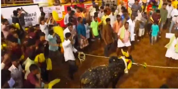 تمل ناڈو کے پلامیڈوجلی کٹو کا آغاز ، نائب وزیر اعلیٰ ادے نیدھی اسٹالن نے دکھائی ہری جھنڈی