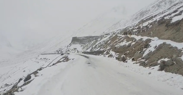 ہماچل پردیش کے بالائی علاقوں میں برف باری، 23 جنوری تک بارش کا امکان، ایلو الرٹ جاری