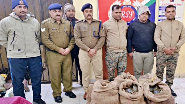 ٹرین کی جنرل کوچ میں 11 لاوارث بوریوں سے کچھوے برآمد