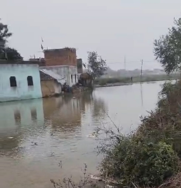 نہر کا بند ٹوٹنے سے سینکڑوں ایکڑ پر کھڑی فصلیں زیر آب ، گاؤں میں پانی گھروں میں داخل ہوگیا نہر کا بند ٹوٹنے سے سینکڑوں ایکڑ پر کھڑی فصلیں زیر آب ، گاؤں میں پانی گھروں میں داخل ہوگیا