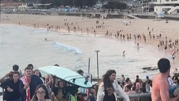 آسٹریلیا: سڈنی کے بونڈائی بیچ حملے کی تحقیقات کے لیے وفاقی کمیٹی تشکیل