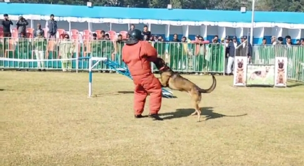 International-Dog-Show-Begins-in-Jamshedpur