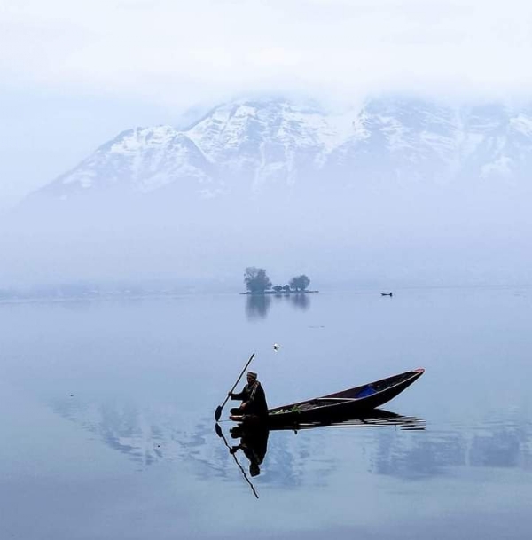 تصویر تصویر