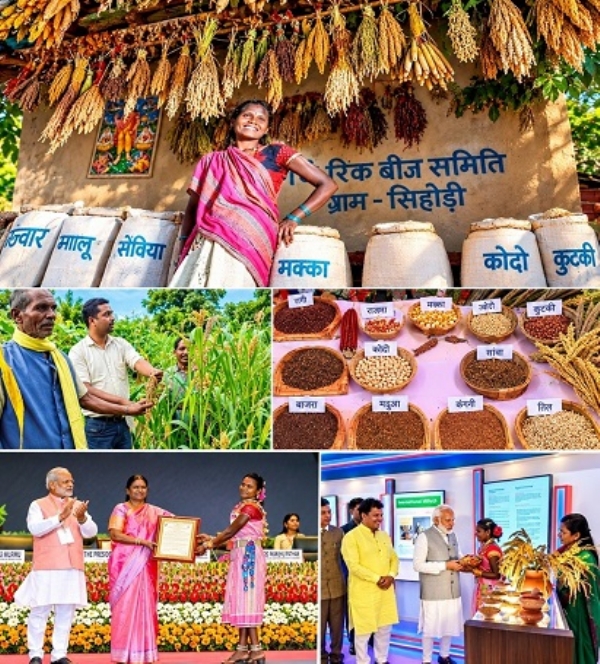 REVIVING-TRADITION-MILLET-CULTIVATION-INCREASING-P REVIVING-TRADITION-MILLET-CULTIVATION-INCREASING-P