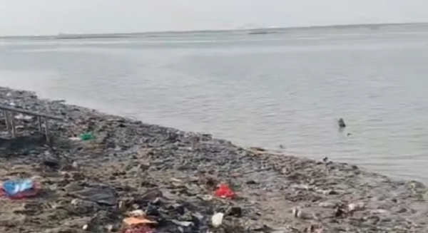 بھاگلپور کے دیارہ میں سیلاب کے بعد ابھری امید کی نئی زمین، کسانوں کو بمپر پیداوار کی آس