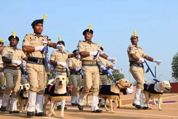 پولیس کے سراغ رساں کتوں کی پاسنگ آؤٹ پریڈ پولیس کے سراغ رساں کتوں کی پاسنگ آؤٹ پریڈ