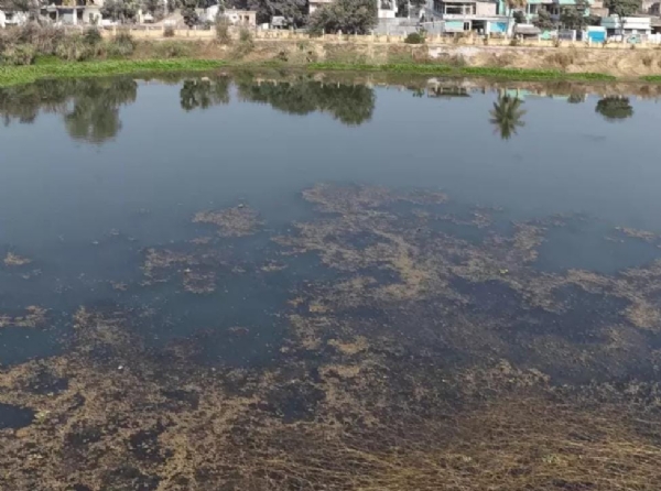 ویرپور میں مانسروور جھیل سیاحت کا مرکز بنے گی، پارک کمپلیکس 2026 تک کھل جائے گا ویرپور میں مانسروور جھیل سیاحت کا مرکز بنے گی، پارک کمپلیکس 2026 تک کھل جائے گا