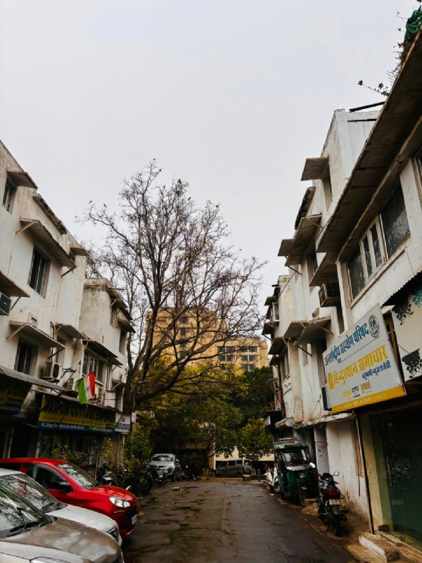 دہلی میں بادلوں کی آمد و رفت ، ہلکی بارش سے موسم خوشگوار دہلی میں بادلوں کی آمد و رفت ، ہلکی بارش سے موسم خوشگوار