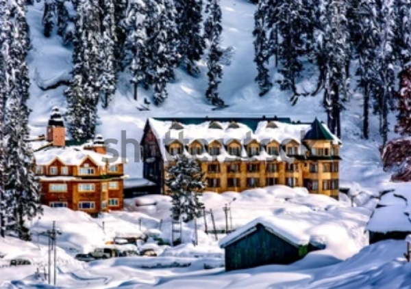 تصویر تصویر