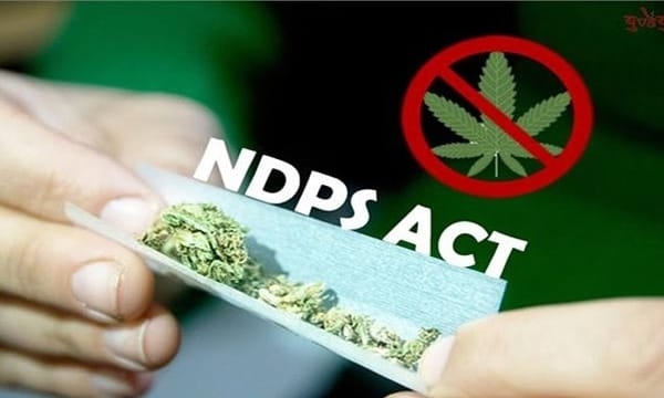 شملہ میں الگ الگ مقامات سے ہیروئن اور چرس برآمد، چار گرفتار