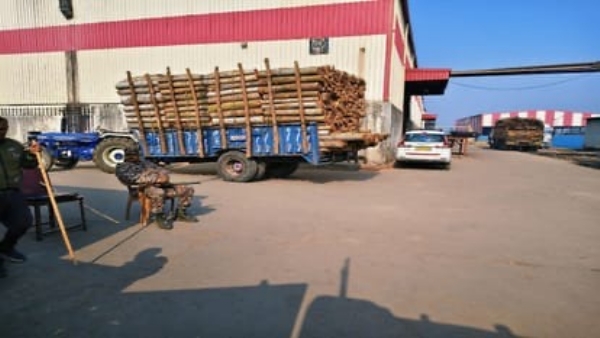 بریلی پلائیووڈ فیکٹری پر محکمہ انکم ٹیکس کا بڑا چھاپہ، اتر پردیش سے اتراکھنڈ تک کئی ٹیمیں جانچ میں مصروف بریلی پلائیووڈ فیکٹری پر محکمہ انکم ٹیکس کا بڑا چھاپہ، اتر پردیش سے اتراکھنڈ تک کئی ٹیمیں جانچ میں مصروف