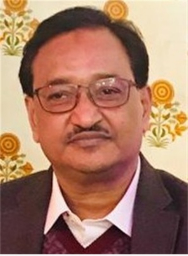 پروفیسر محبوب