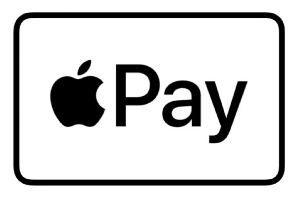BUSINESS MAHA APPLE PAY INDIA