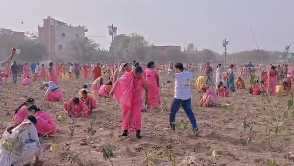 کاشی نے چین کا ریکارڈ توڑا، ایک گھنٹے میں 2,51,446 پودے لگا کر نیا عالمی ریکارڈ قائم کیا