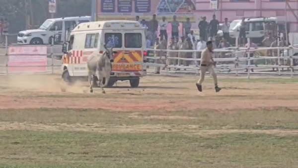 وزیر اعلیٰ نتیش کمار کے سیکورٹی میں داخل ہواساڑ