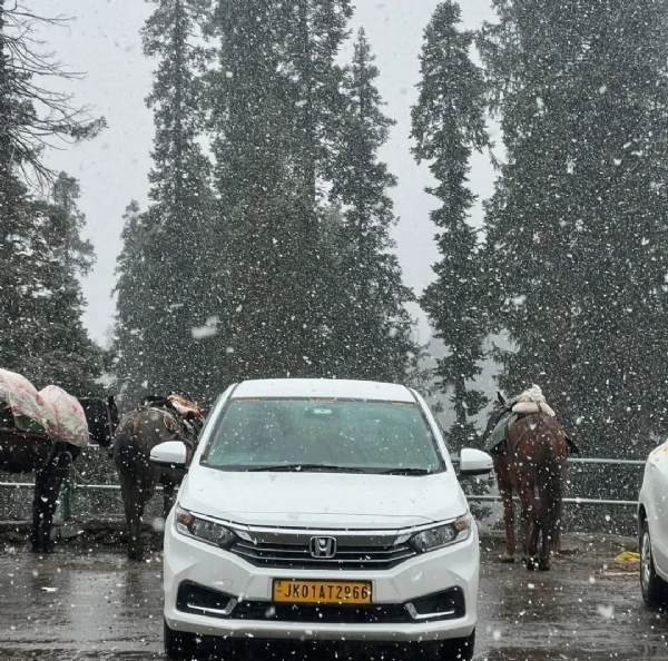 تصویر تصویر