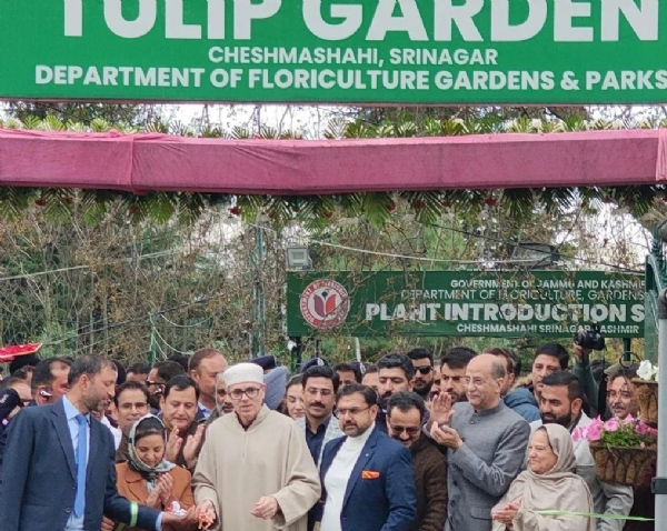 تصویر تصویر