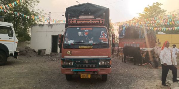 غیر قانونی طور پر لے جائے جا رہے 9 بیل کا ٹیمپو پکڑا گیا، دو گرفتار
