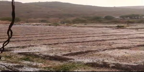 ناسک میں اچانک بارش اور ژالہ باری سے فصلیں تباہ، پانچ تعلقے متاثر