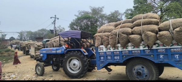 کولڈ اسٹوریج پر آلو رکھنے کے لیے لگی لمبی لائنیں