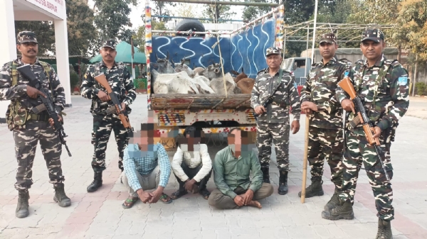 مویشیوں کی ا سمگلنگ کی کوشش ناکام، تین گرفتار مویشیوں کی ا سمگلنگ کی کوشش ناکام، تین گرفتار
