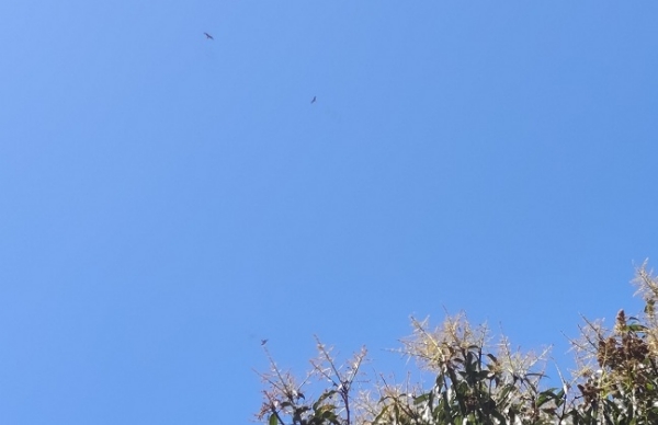 Uk-Weather-Rain-Snow-