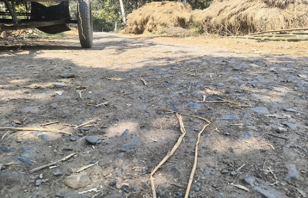 بھاگلپور ضلع میں خراما موڑ-گنگٹی سڑک خستہ حال