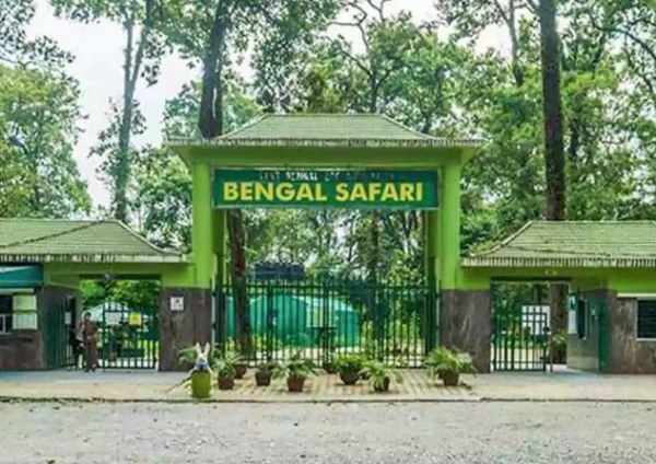 Bengal-Safari-Lion-Safari