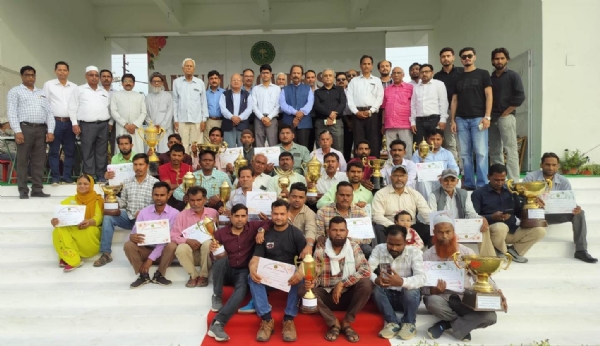 انعامات کے ساتھ انعامات کے ساتھ