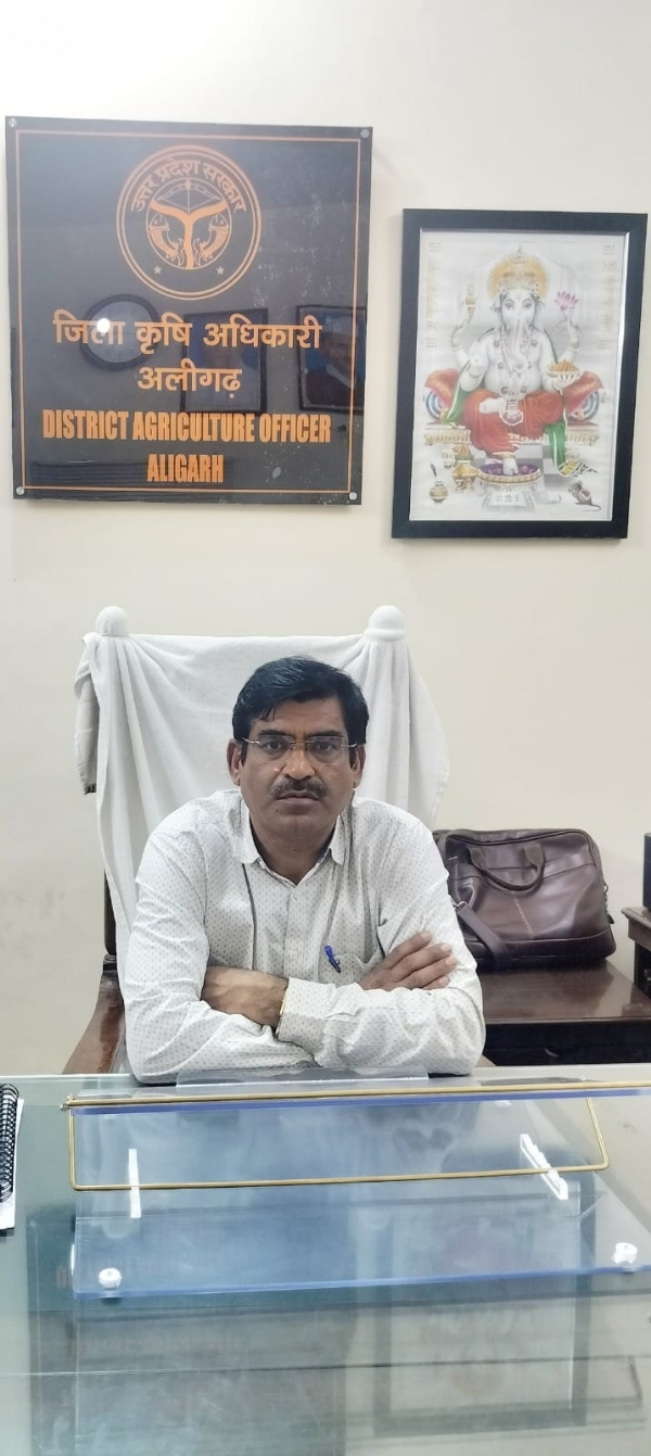 دھریندر سچان