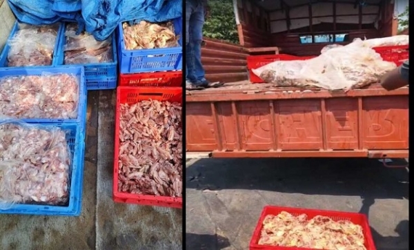 فوڈ سیفٹی ٹیم کا بڑا ایکشن 352 کلو خراب چکن ضبط، ملزم گرفتار