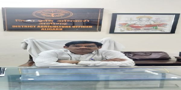 غیر رجسٹرڈ کیمیائی اجزاء والے مچھر بھگانے کے مصنوعات پر پابندی