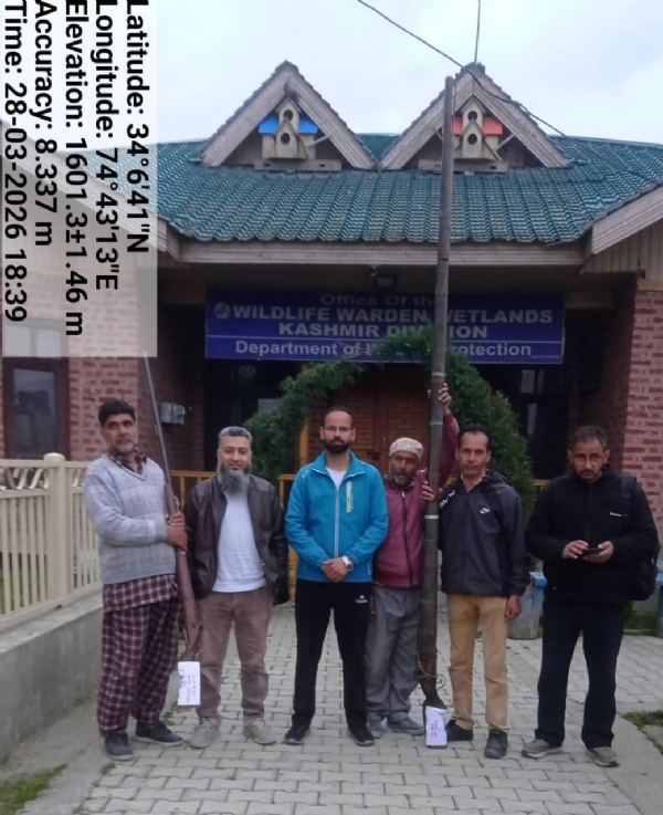 تصویر تصویر