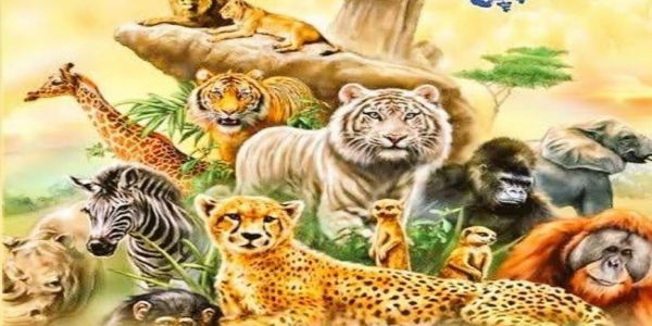 نائب صدر جمہوریہ، وزیر داخلہ اور دیگر کئی لیڈران نے جنگلی حیات کے عالمی دن پر مبارکباد دی۔