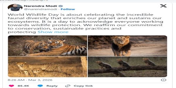 جنگلی حیاتیات کے عالمی دن پر وزیراعظم نے جنگلی جانوروں کے تحفظ کے لیے اپنے عزم کا اعادہ کیا