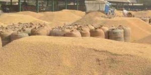 یوپی نے دھان کی خریداری کے ہدف سے تجاوز کیا، کسانوں کو 14,886 کروڑ روپے ادا کیے