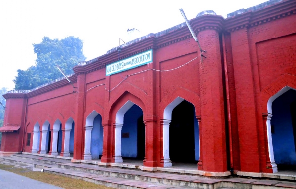 اولڈ بوائز الیکشن اولڈ بوائز الیکشن