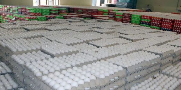 تمل ناڈو کی انڈوں کی صنعت پرمغربی ایشیا میں جنگ کا اثر، قیمتوں میں زبردست گراوٹ