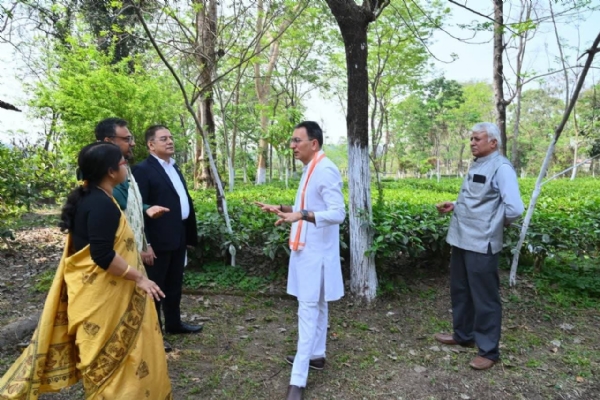 مرکزی حکومت جلد ہی شمالی بنگال کے چائے کے باغات کے لیے جامع پیکیج متعارف کرائے گی: جتن پرساد