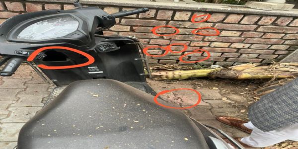 چنڈی گڑھ میں پنجاب بی جے پی ہیڈکوارٹر کے باہر دھماکہ، عمارت کی کھڑکیوں کے شیشے ٹوٹ گئے، ایک گاڑی کو نقصان پہنچا